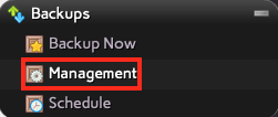 Click on Management from the Backups Section of SiteWorx
