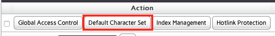 Click the Default Character Set Button