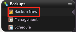 Select Backup Now from the Backups Section